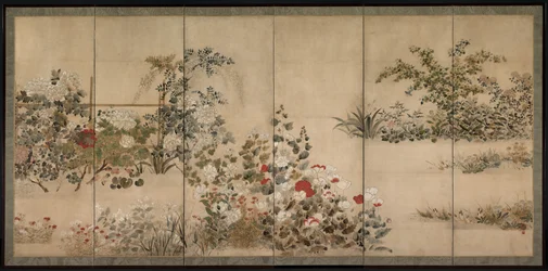 Bloemen van de vier seizoenen, midden 1600