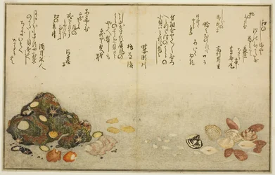 Ashi-gai, hamaguri, ko-gai, suzume-gai, akoya-gai, en katashi-gai, uit het geïllustreerde boek "Giften van de Eb (Shiohi no tsuto)"