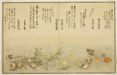Beni-gai, hora-gai, urauzu-gai, wasure-gai, chiyonohana-gai, en masuho-gai, uit het geïllustreerde boek "Giften van de Eb (Shiohi no tsuto)"