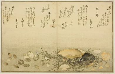 Chidori-gai, itaya-gai, awabi, utsuse-gai, asari-gai, en monoara-gai, uit het geïllustreerde boek 