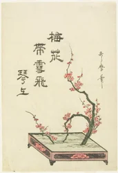 Ikebana-schikking van een pruimentak