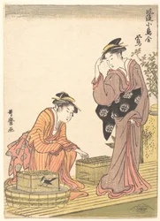 Japanse boszanger