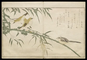 P.332-1946, deel 2, blad 6, staartmees en drie brilvogels, uit het album 