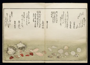 Shiohi no tsuto (Geschenken van de Eb), bekend als het Schelpenboek, 1789