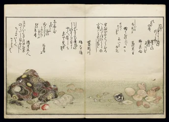 Shiohi no tsuto (Geschenken van de Eb), bekend als het Schelpenboek, 1789