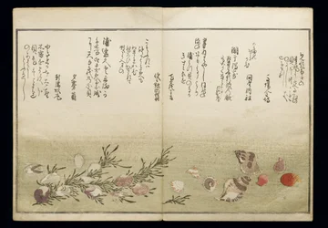 Shiohi no tsuto (Geschenken van de Eb), bekend als het Schelpenboek, 1789