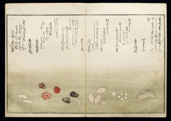 Shiohi no tsuto (Geschenken van de Eb), bekend als het Schelpenboek, 1789