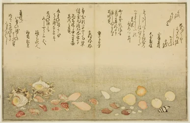 Shiro-gai, namima-gashiwa, makura-gai, iro-gai, aza-gai, sadae-gai, uit het geïllustreerde boek "Giften van de Eb (Shiohi no tsuto)"
