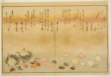 Shiro-gai, namima-gashiwa, makura-gai, iro-gai, aza-gai, sadae-gai, uit het geïllustreerde boek "Geschenken van de eb"