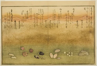 Sudare-gai, hana-gai, sakura-gai, mumeno-gai, nadeshiko-gai, en kinuta-gai, uit het geïllustreerde boek "Giften van de Eb (Shiohi no tsuto)"