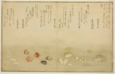 Sudare-gai, hana-gai, sakura-gai, mumeno-gai, nadeshiko-gai, en kinuta-gai, uit het geïllustreerde boek "Geschenken van de Eb (Shiohi no tsuto)"