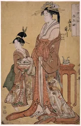 Takigawa van de Ogiya Acht, uit de serie Onsterfelijken in de Kunst van de Liefde