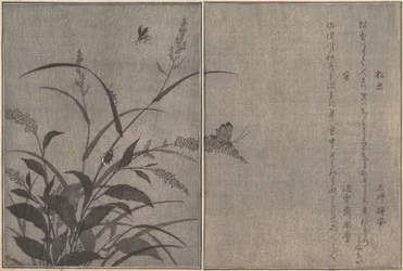 Boomkrekel Matsumushi, Vuurvlieg Hotaru..., 1788