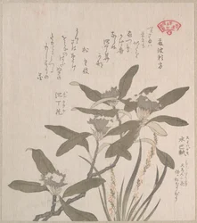 Daphne odora en Mojisuri-so