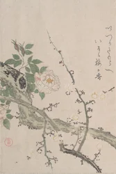 Rozen en pruimenbloesems