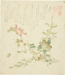Verschillende Lentebloemen, uit de serie "Lentebloemen en Bomen voor de Kasumi Poëziekring van de Yomo Groep"
