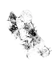 Een bij tussen delicate bloemen