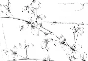 Delicate bloemenrank