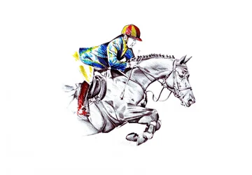 Dynamische paardensprong