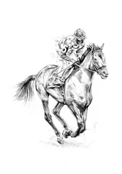 Dynamische tekening van een renpaard