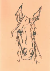 Elegante schets van een paardenhoofd