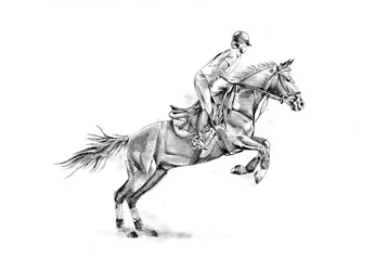 Paardenspringen