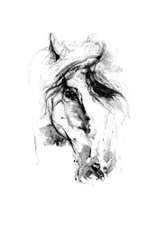 Expressieve paardenschets