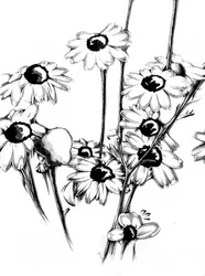 Bloemen- en natuurkunst: schets 15