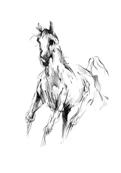 Schets van een galopperend paard