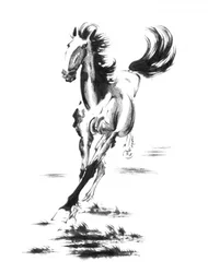 Galopperend wild paard