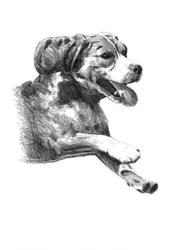 Happy Dog-schets