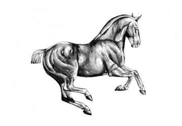 Weidse paardentekening