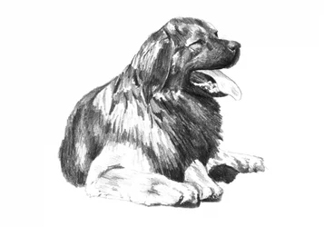 Tekening van een hijgende hond