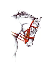 Schets van een rood paard met hoofdstel