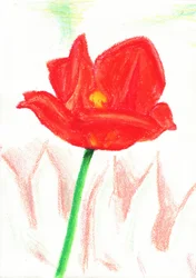 Bloem van rood kleurpotlood