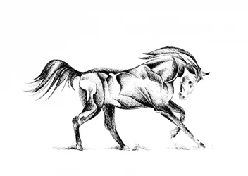 Gestileerde tekening van een paard