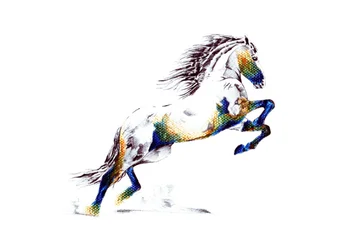 Levendig paard dat zijn veulen grootbrengt