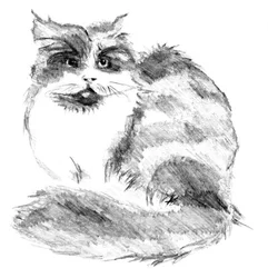 Speels portret van een pluizige kat