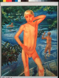 Jongens die baden