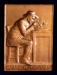 Jean Henri Fabre, Franse entomoloog, 1911