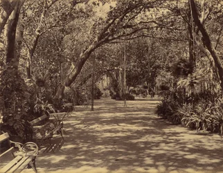 Sookh-Vilas Paleistuin