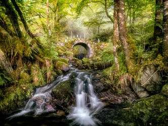 Brug over het beekje in het Betoverde Bos
