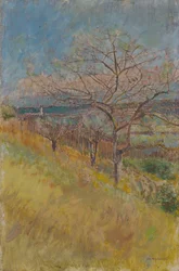 Vallei met bloeiende bomen, 1890-1900