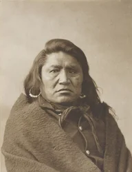 Dove Stier, c. 1880