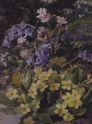 Studie van Bloemen