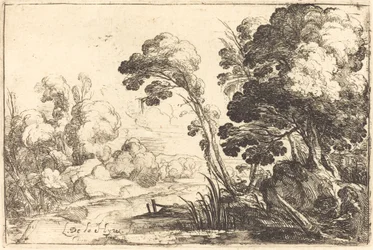 Bosrijk landschap met een rivier