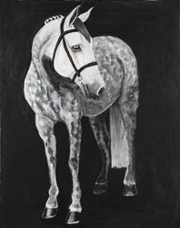 White Horse 2, ca. 2024 (acrylverf op doek)