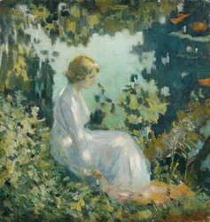 Schaduwrijke lagune