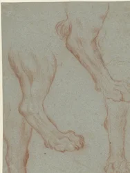 Studieblad met twee leeuwenpoten