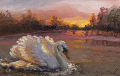 Zwaan bij Zonsopgang, 2016